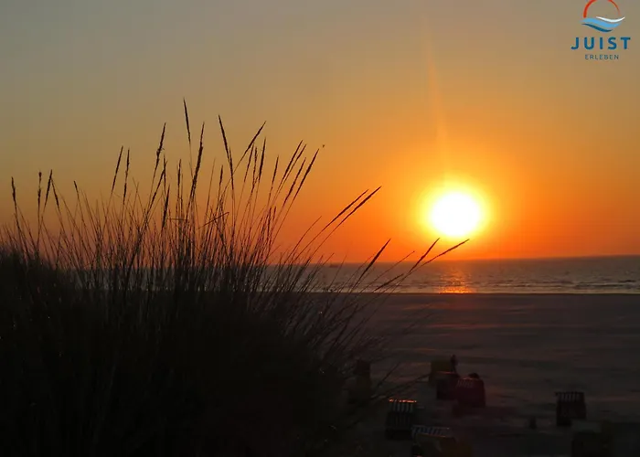 Lejlighed Haus Insa 141 - 1